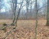 TBD Glade Run Road, Albright, West Virginia 26519, ,Lots/land,For Sale,Glade Run,10163623