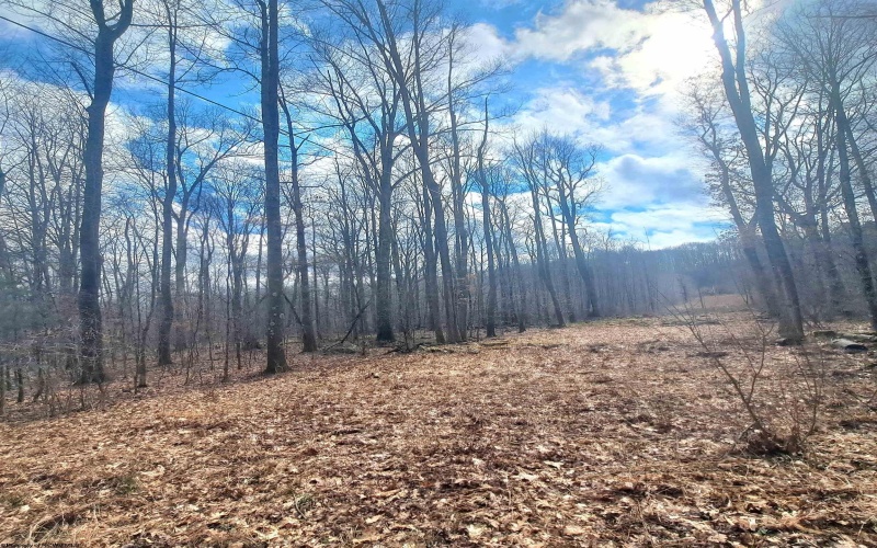 TBD Glade Run Road, Albright, West Virginia 26519, ,Lots/land,For Sale,Glade Run,10163623