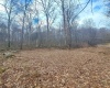 TBD Glade Run Road, Albright, West Virginia 26519, ,Lots/land,For Sale,Glade Run,10163623