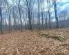 TBD Glade Run Road, Albright, West Virginia 26519, ,Lots/land,For Sale,Glade Run,10163623