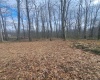 TBD Glade Run Road, Albright, West Virginia 26519, ,Lots/land,For Sale,Glade Run,10163623