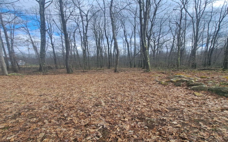TBD Glade Run Road, Albright, West Virginia 26519, ,Lots/land,For Sale,Glade Run,10163623