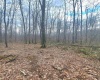 TBD Glade Run Road, Albright, West Virginia 26519, ,Lots/land,For Sale,Glade Run,10163623