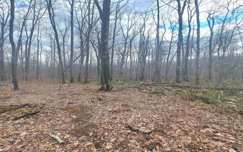 TBD Glade Run Road, Albright, West Virginia 26519, ,Lots/land,For Sale,Glade Run,10163623
