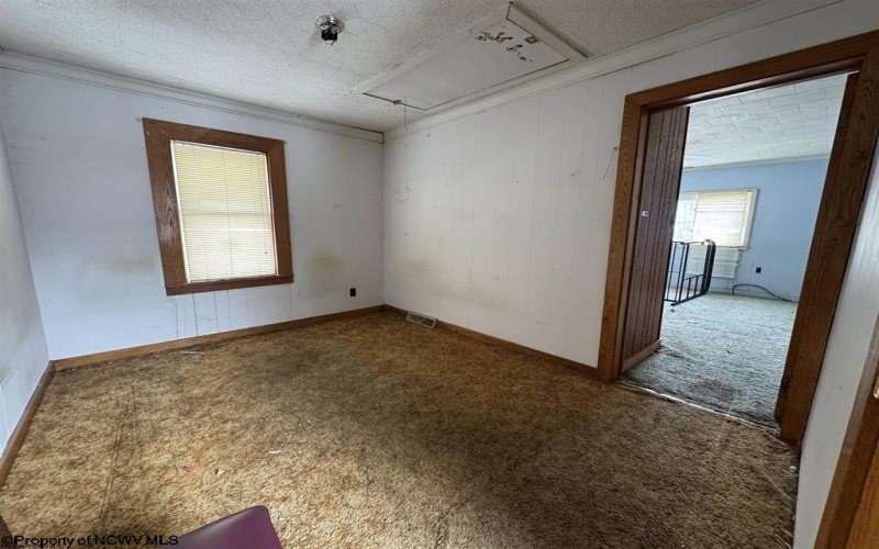 124 Chestnut Street, Weston, West Virginia 26452, ,Multi-unit/income,For Sale,Chestnut,10163642