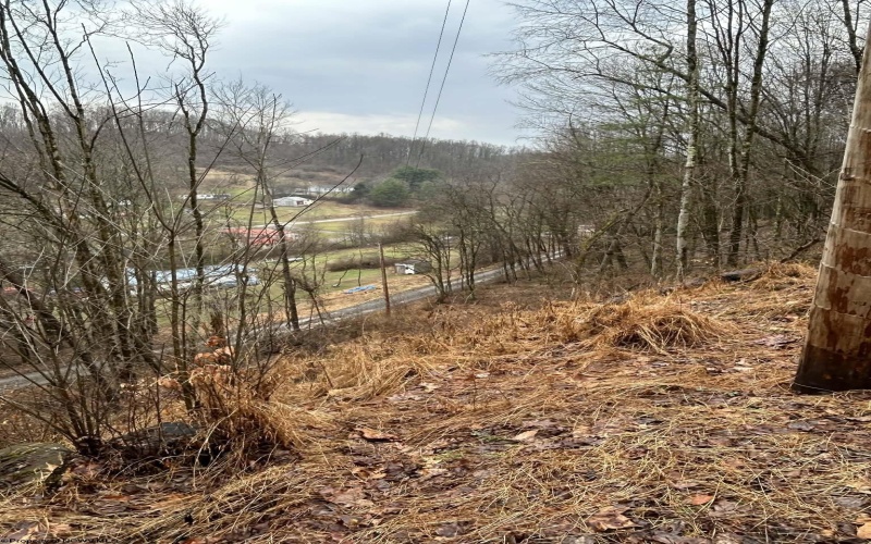 299 Foxstone Drive, Buckhannon, West Virginia 26201, 3 Bedrooms Bedrooms, 5 Rooms Rooms,2 BathroomsBathrooms,Single Family Detached,For Sale,Foxstone,10163640