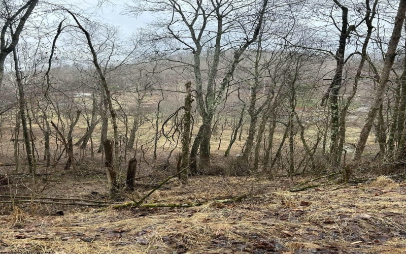 299 Foxstone Drive, Buckhannon, West Virginia 26201, 3 Bedrooms Bedrooms, 5 Rooms Rooms,2 BathroomsBathrooms,Single Family Detached,For Sale,Foxstone,10163640