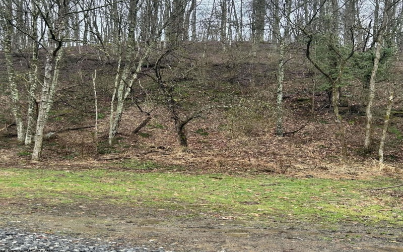 299 Foxstone Drive, Buckhannon, West Virginia 26201, 3 Bedrooms Bedrooms, 5 Rooms Rooms,2 BathroomsBathrooms,Single Family Detached,For Sale,Foxstone,10163640