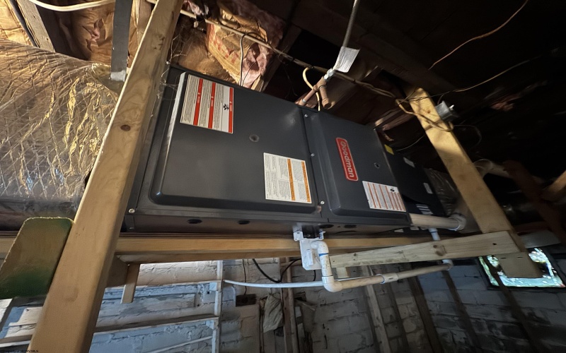 113 Buckhannon Avenue, Clarksburg, West Virginia 26301-3130, 2 Bedrooms Bedrooms, 4 Rooms Rooms,2 BathroomsBathrooms,Single Family Detached,For Sale,Buckhannon,10160222 113 Buckhannon Avenue, Clarksburg, West Virginia 26301-3130, 2 Bedrooms Bedrooms, 4 Rooms Rooms,2 BathroomsBathrooms,Single Family Detached,For Sale,Buckhannon,10160222