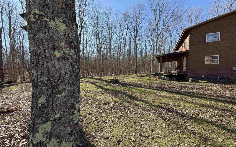 1430 Stony Run Road, Independence, West Virginia 26374, 3 Bedrooms Bedrooms, 6 Rooms Rooms,2 BathroomsBathrooms,Single Family Detached,For Sale,Stony Run,10163649