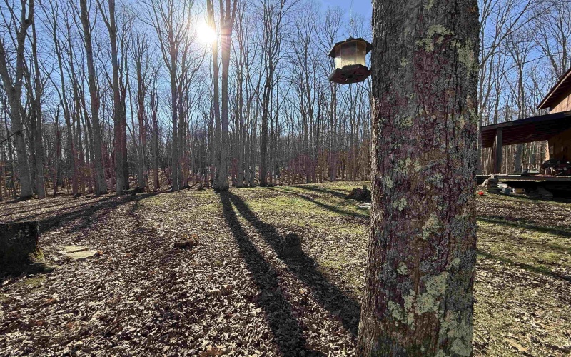 1430 Stony Run Road, Independence, West Virginia 26374, 3 Bedrooms Bedrooms, 6 Rooms Rooms,2 BathroomsBathrooms,Single Family Detached,For Sale,Stony Run,10163649