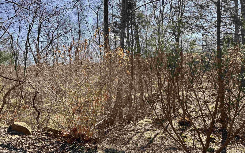 2527 Smithtown Road, Morgantown, West Virginia 26508, 2 Bedrooms Bedrooms, 5 Rooms Rooms,1 BathroomBathrooms,Single Family Detached,For Sale,Smithtown,10163648