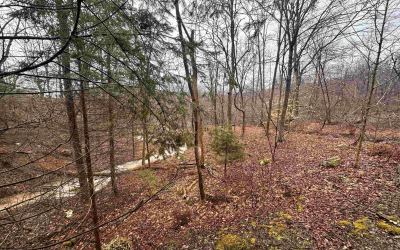 2527 Smithtown Road, Morgantown, West Virginia 26508, 2 Bedrooms Bedrooms, 5 Rooms Rooms,1 BathroomBathrooms,Single Family Detached,For Sale,Smithtown,10163648