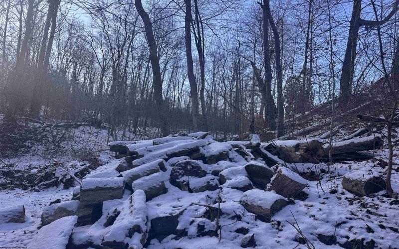 2527 Smithtown Road, Morgantown, West Virginia 26508, 2 Bedrooms Bedrooms, 5 Rooms Rooms,1 BathroomBathrooms,Single Family Detached,For Sale,Smithtown,10163648