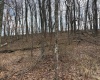 tbd Mount Zion Road, Fairmont, West Virginia 26554, ,Lots/land,For Sale,Mount Zion,10163672