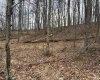 tbd Mount Zion Road, Fairmont, West Virginia 26554, ,Lots/land,For Sale,Mount Zion,10163672