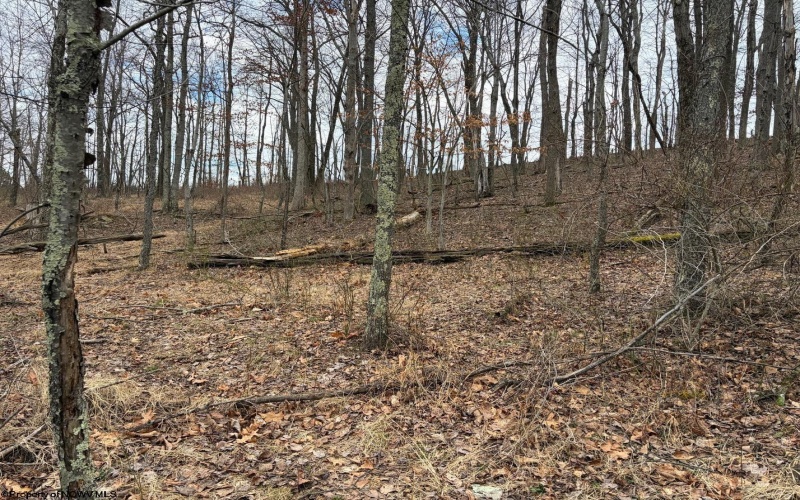 tbd Mount Zion Road, Fairmont, West Virginia 26554, ,Lots/land,For Sale,Mount Zion,10163672
