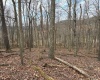 tbd Mount Zion Road, Fairmont, West Virginia 26554, ,Lots/land,For Sale,Mount Zion,10163672