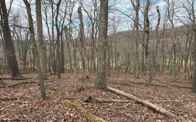 tbd Mount Zion Road, Fairmont, West Virginia 26554, ,Lots/land,For Sale,Mount Zion,10163672