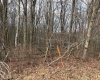 tbd Mount Zion Road, Fairmont, West Virginia 26554, ,Lots/land,For Sale,Mount Zion,10163672