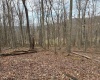 tbd Mount Zion Road, Fairmont, West Virginia 26554, ,Lots/land,For Sale,Mount Zion,10163672