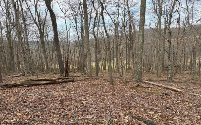 tbd Mount Zion Road, Fairmont, West Virginia 26554, ,Lots/land,For Sale,Mount Zion,10163672