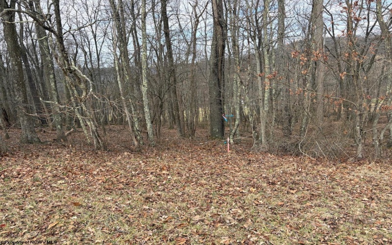 tbd Mount Zion Road, Fairmont, West Virginia 26554, ,Lots/land,For Sale,Mount Zion,10163672