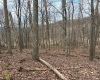 tbd Mount Zion Road, Fairmont, West Virginia 26554, ,Lots/land,For Sale,Mount Zion,10163672