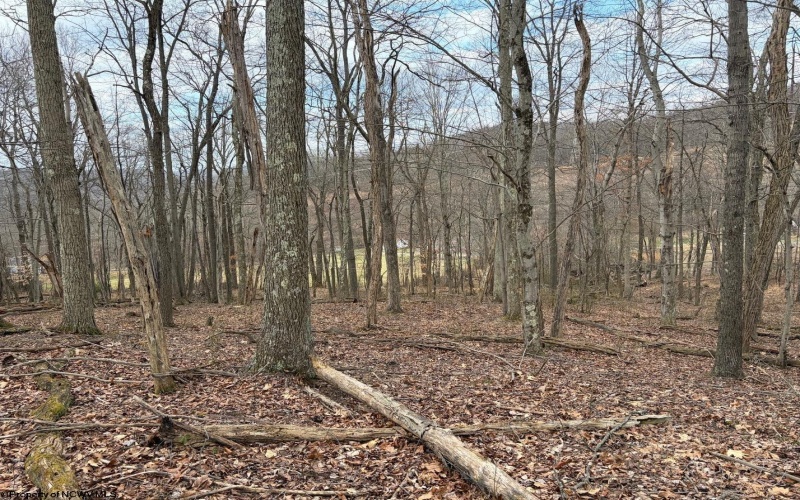 tbd Mount Zion Road, Fairmont, West Virginia 26554, ,Lots/land,For Sale,Mount Zion,10163672