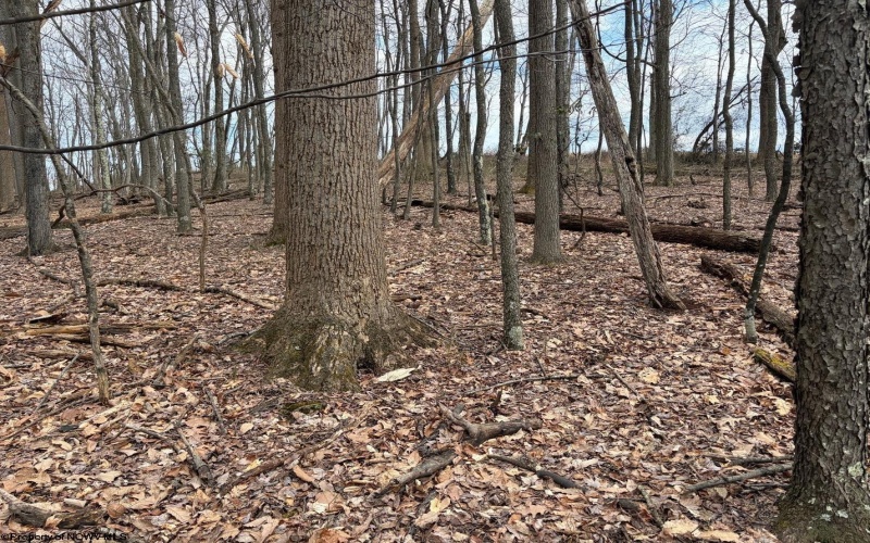 tbd Mount Zion Road, Fairmont, West Virginia 26554, ,Lots/land,For Sale,Mount Zion,10163672