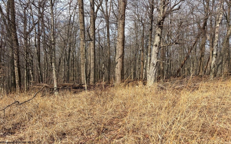 tbd Mount Zion Road, Fairmont, West Virginia 26554, ,Lots/land,For Sale,Mount Zion,10163672