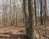 tbd Mount Zion Road, Fairmont, West Virginia 26554, ,Lots/land,For Sale,Mount Zion,10163672