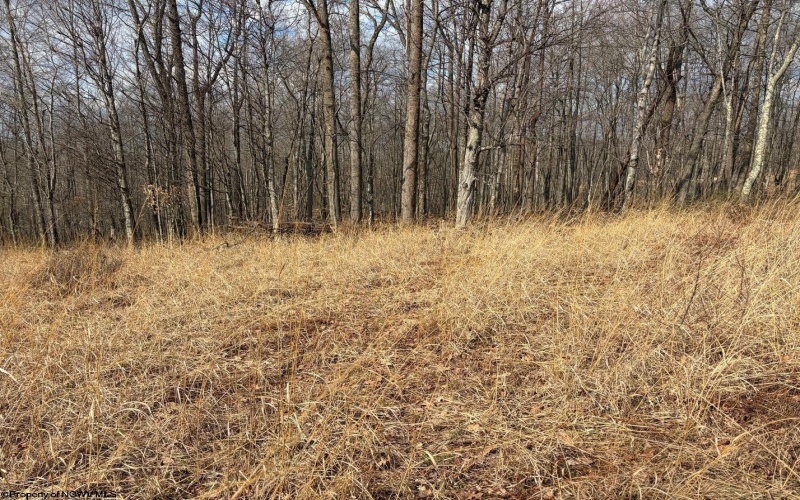 tbd Mount Zion Road, Fairmont, West Virginia 26554, ,Lots/land,For Sale,Mount Zion,10163672
