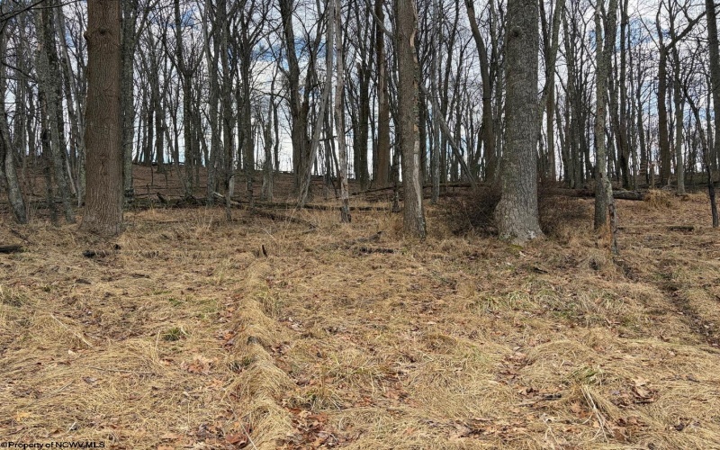 tbd Mount Zion Road, Fairmont, West Virginia 26554, ,Lots/land,For Sale,Mount Zion,10163672