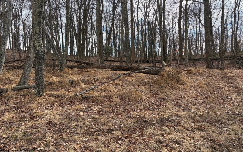 tbd Mount Zion Road, Fairmont, West Virginia 26554, ,Lots/land,For Sale,Mount Zion,10163672