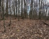 tbd Mount Zion Road, Fairmont, West Virginia 26554, ,Lots/land,For Sale,Mount Zion,10163672