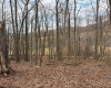 tbd Mount Zion Road, Fairmont, West Virginia 26554, ,Lots/land,For Sale,Mount Zion,10163672