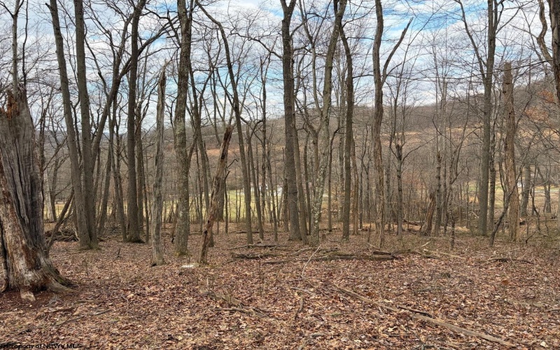 tbd Mount Zion Road, Fairmont, West Virginia 26554, ,Lots/land,For Sale,Mount Zion,10163672