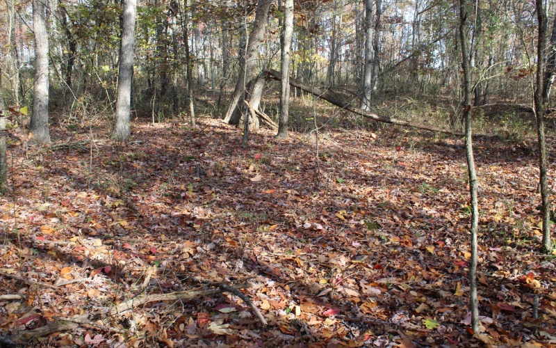 Lot 6 Cascade Ridge, Masontown, West Virginia 26542, ,Lots/land,For Sale,Cascade,10162411