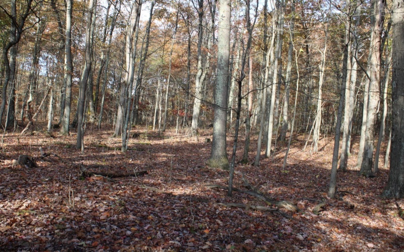 Lot 6 Cascade Ridge, Masontown, West Virginia 26542, ,Lots/land,For Sale,Cascade,10162411