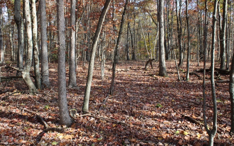 Lot 6 Cascade Ridge, Masontown, West Virginia 26542, ,Lots/land,For Sale,Cascade,10162411