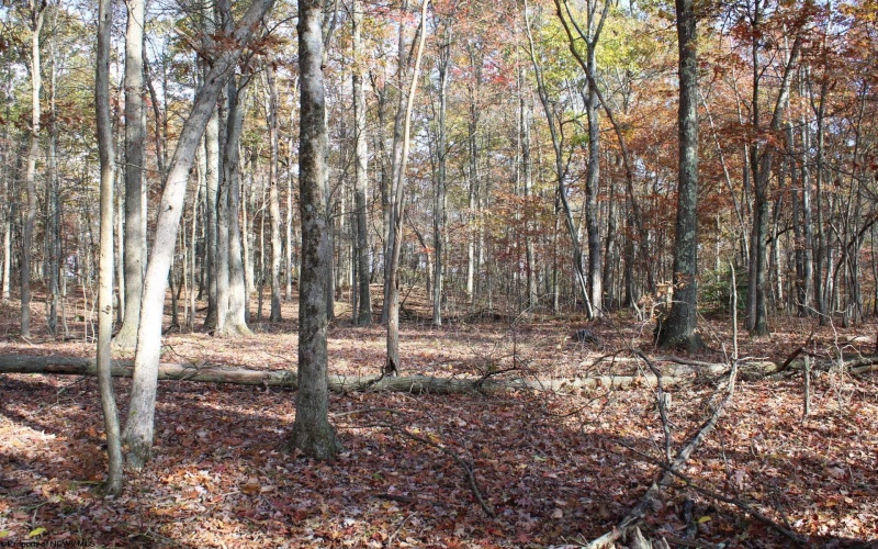 Lot 6 Cascade Ridge, Masontown, West Virginia 26542, ,Lots/land,For Sale,Cascade,10162411