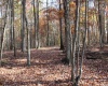 Lot 6 Cascade Ridge, Masontown, West Virginia 26542, ,Lots/land,For Sale,Cascade,10162411