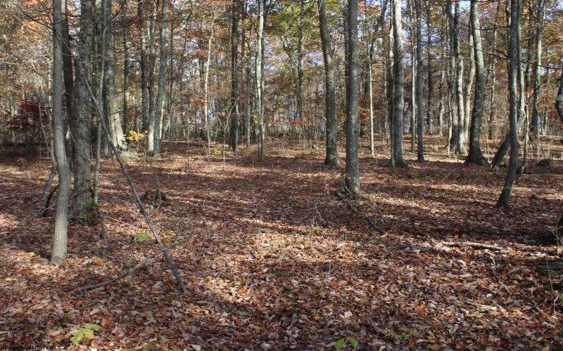 Lot 6 Cascade Ridge, Masontown, West Virginia 26542, ,Lots/land,For Sale,Cascade,10162411