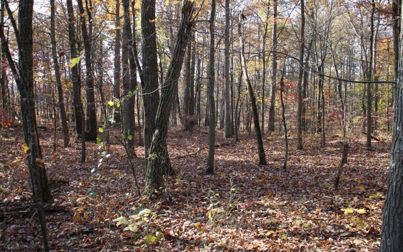 Lot 6 Cascade Ridge, Masontown, West Virginia 26542, ,Lots/land,For Sale,Cascade,10162411