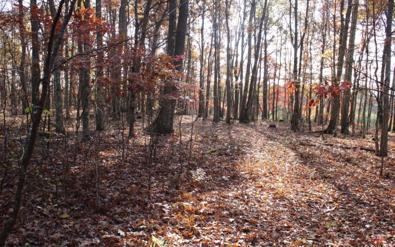 Lot 6 Cascade Ridge, Masontown, West Virginia 26542, ,Lots/land,For Sale,Cascade,10162411