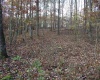Lot 7 Cascade Ridge, Masontown, West Virginia 26542, ,Lots/land,For Sale,Cascade,10162412