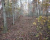 Lot 7 Cascade Ridge, Masontown, West Virginia 26542, ,Lots/land,For Sale,Cascade,10162412