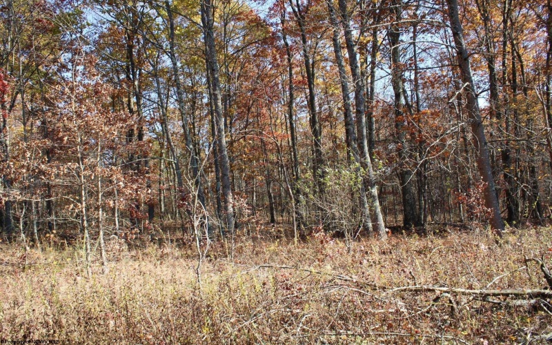 Lot 7 Cascade Ridge, Masontown, West Virginia 26542, ,Lots/land,For Sale,Cascade,10162412
