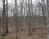 Lot 7 Cascade Ridge, Masontown, West Virginia 26542, ,Lots/land,For Sale,Cascade,10162412